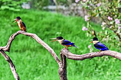 快节奏复古风科幻FPS《阿波罗赤月》上架Steam